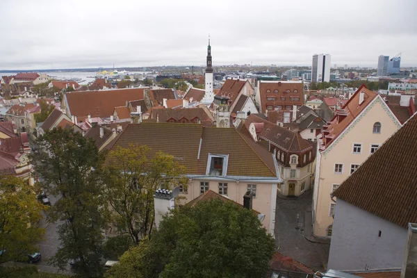 Tallinn, staré město — Stock fotografie