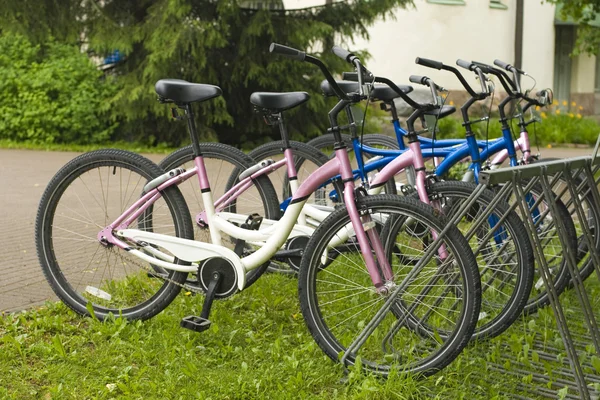 자전거 주차 — 스톡 사진