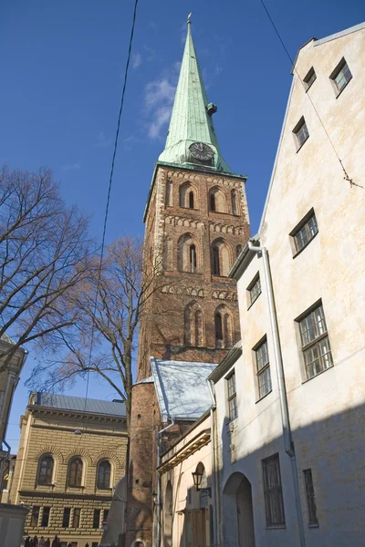 St. james's cathedral, riga — Stockfoto