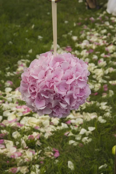Kwiat piłkę z hortensji — Zdjęcie stockowe