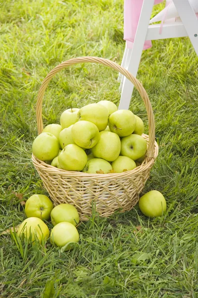 Korb mit grünen Äpfeln lizenzfreie Stockfotos