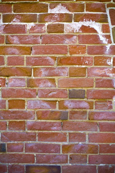 stock image Wall of red bricks