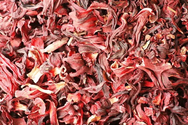 Sabdariffa del hibisco — Foto de Stock