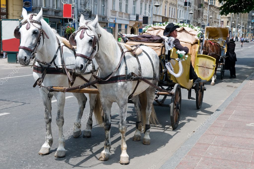 Non-polluting transport — Stock Photo © Okssi68 #3356348