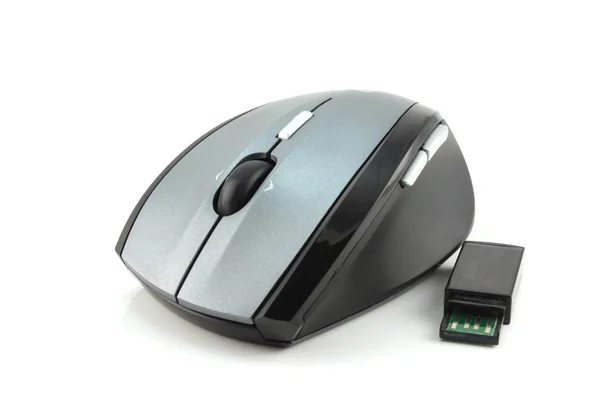 Bilgisayar Mouse — Stok fotoğraf