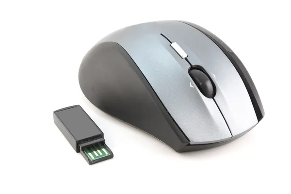 Mouse for computer — Stock Photo, Image