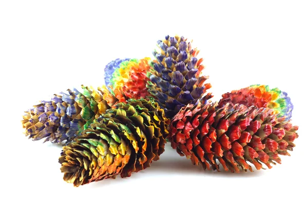 Cor cones florestais — Fotografia de Stock