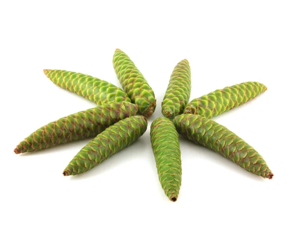 Cones verdes de abeto — Fotografia de Stock