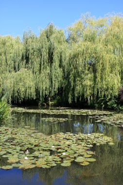 Claude Monet'nin Bahçe