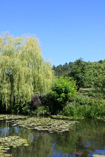 Claude Monets trädgård — Stockfoto