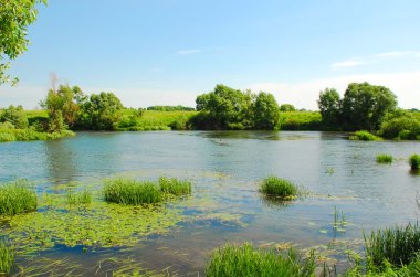 ağaçlar ve Nehri