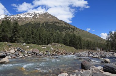 Dağ nehri