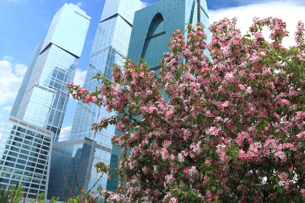 Spring in the city — Stock Photo, Image