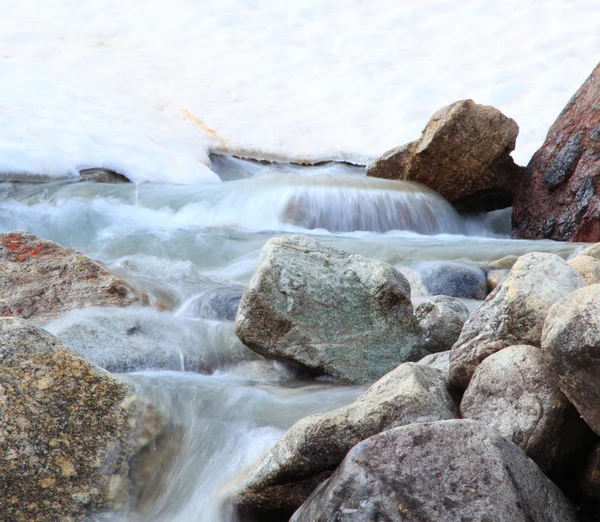 Purement propre ruisseau de montagne — Photo