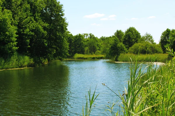 stock image Blue river