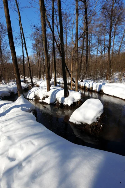 Início da primavera na floresta com rio — Fotografia de Stock