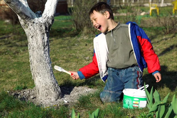 Junge bemalt Apfelbaum — Stockfoto