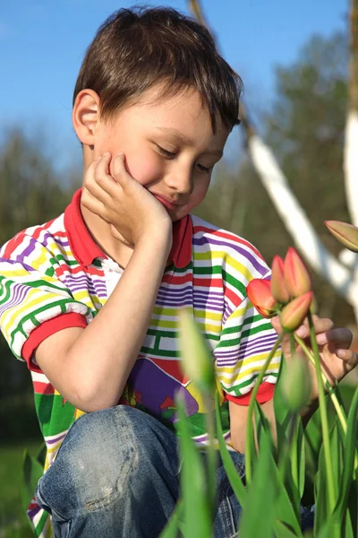 Chlapec s tulipány — Stock fotografie