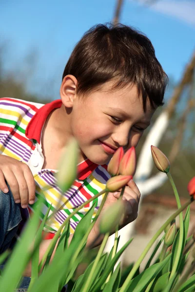 Garçon avec des tulipes — Photo