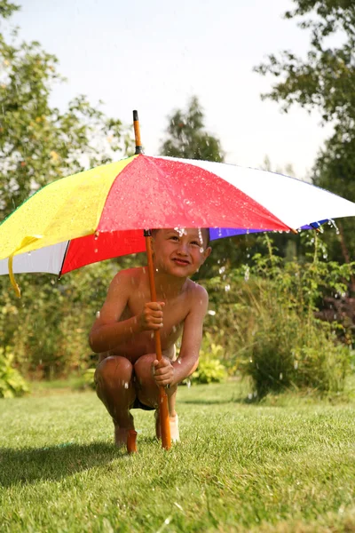 Sommerregen — Stockfoto