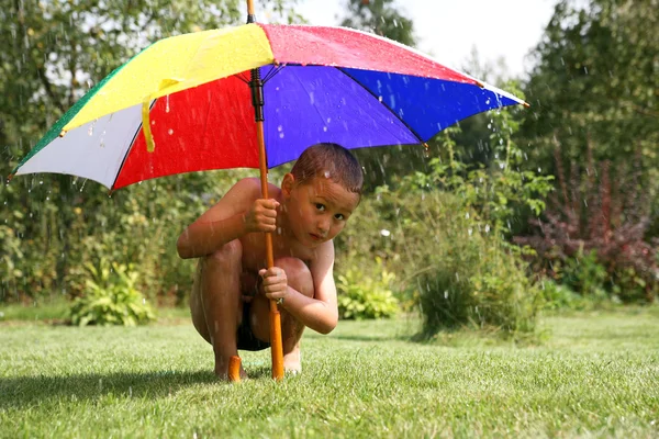 Summer rain — Stock Photo, Image
