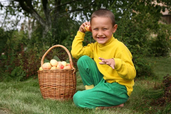 Pojke med äpplen — Stockfoto