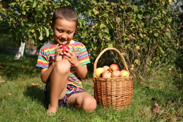 Gutt som poserer utendørs med epler – stockfoto