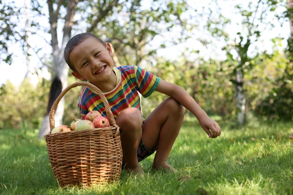 Kluk, venku pózuje s jablky — Stock fotografie