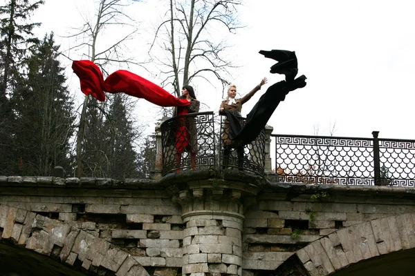 Девушки в осеннем парке на старом мосту — стоковое фото