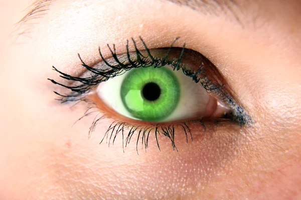 Πράσινο μάτι — Φωτογραφία Αρχείου
