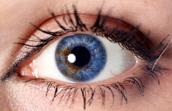 Blauwe cyber oog — Stockfoto