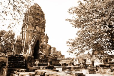 Buda, ayutthaya kalıntıları anıtları