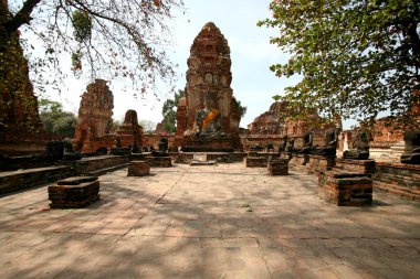 Buda, ayutthaya kalıntıları anıtları