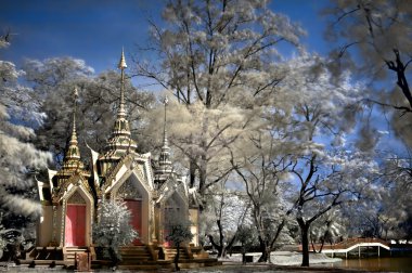 ayutthaya Budist tapınağı