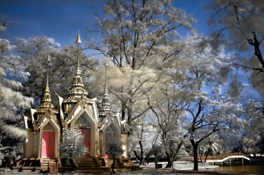 Buddhist temple in Ayutthaya clipart