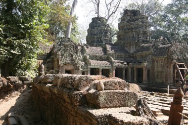 ormanda angkor wat