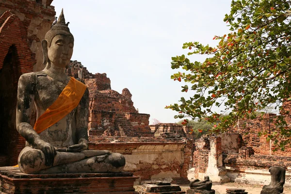 Monuments of buddah, ruins of Ayutthaya — Stock Photo, Image
