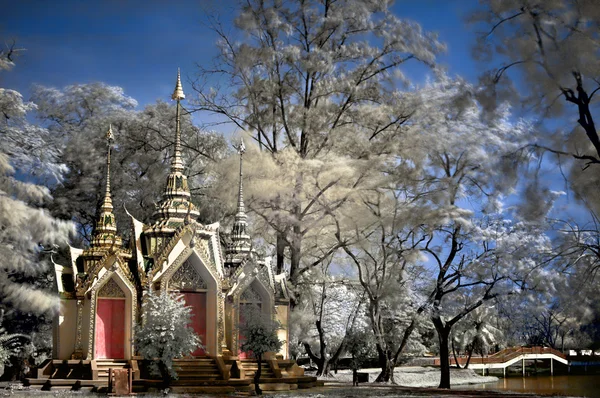 Buddhist temple in Ayutthaya — Stock Photo, Image