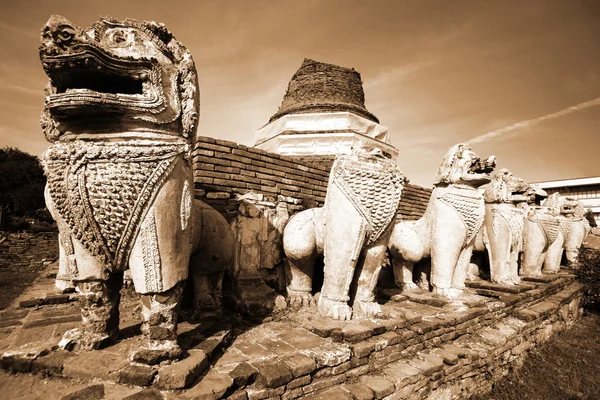 Ruins of Ayutthaya — Stock Photo, Image