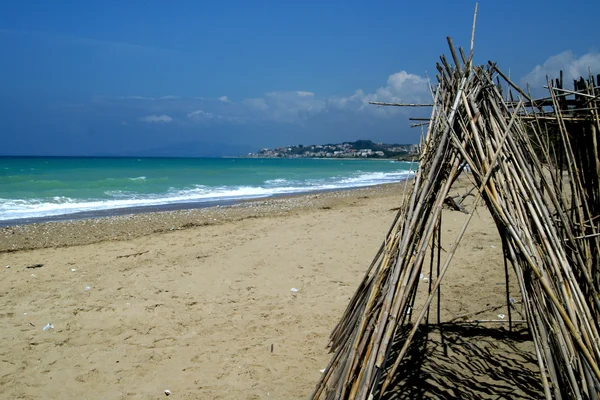 Bambu no mar — Fotografia de Stock
