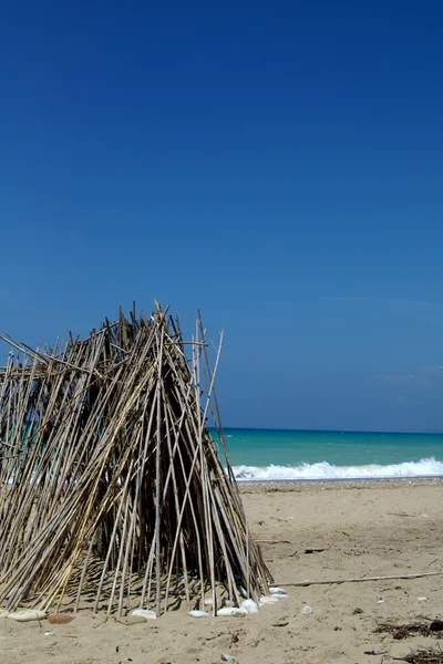 Bambú en el mar — Stockfoto