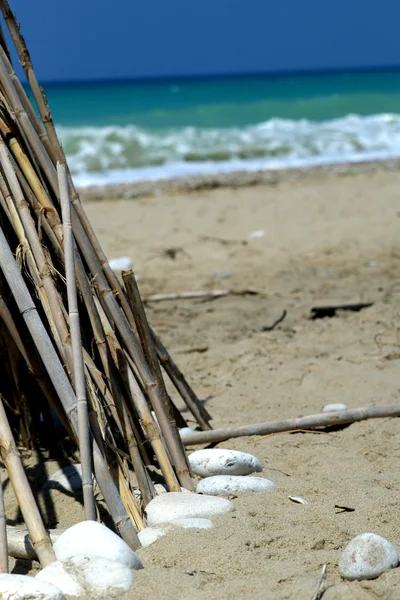 Bambú en el mar — Foto de Stock