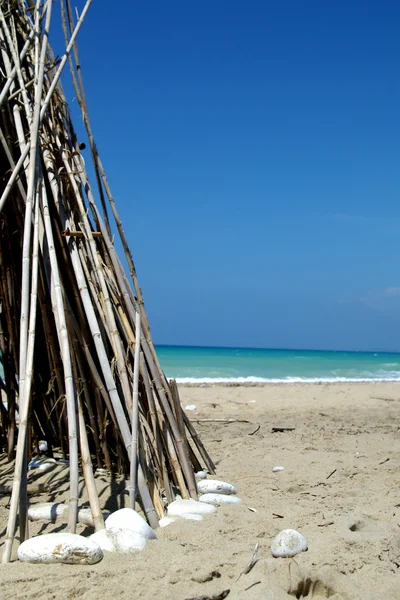 Bambú en el mar — Stockfoto
