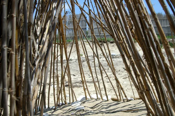 Bambu till sjöss — Stockfoto