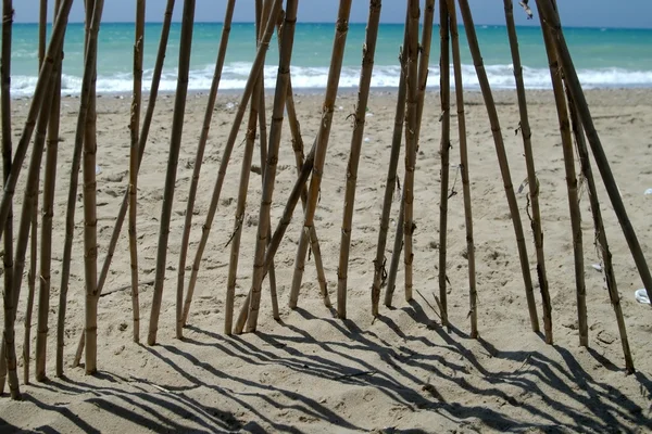 Бамбук в море — стоковое фото