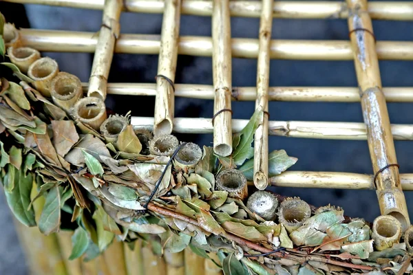 Bambusa i liści — Zdjęcie stockowe