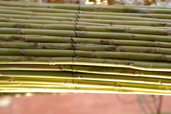 Bambus Textur — Stockfoto