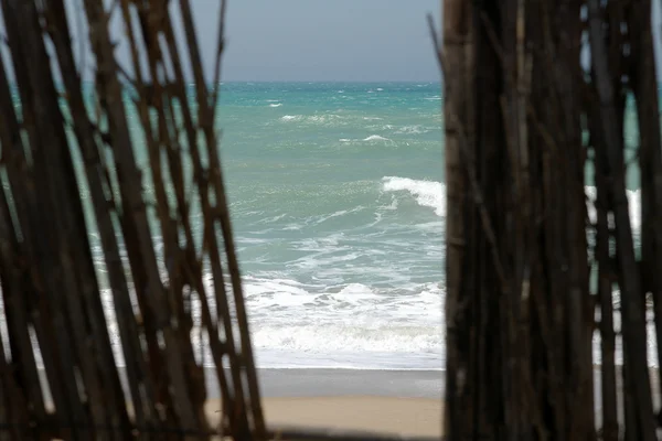 Bambú en el mar —  Fotos de Stock