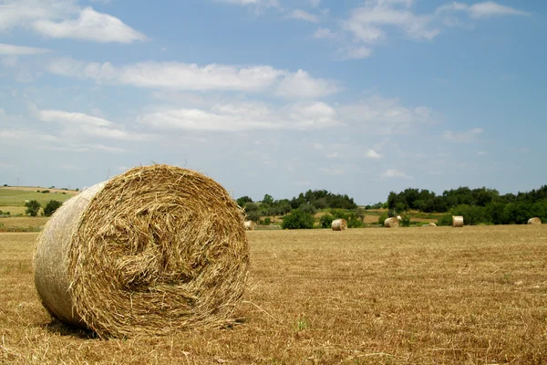 円形の干し草の俵農村フィールド — ストック写真