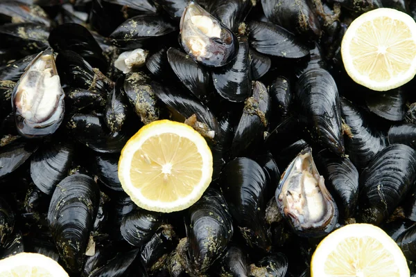 Čerstvé mořské jídlo — Stock fotografie